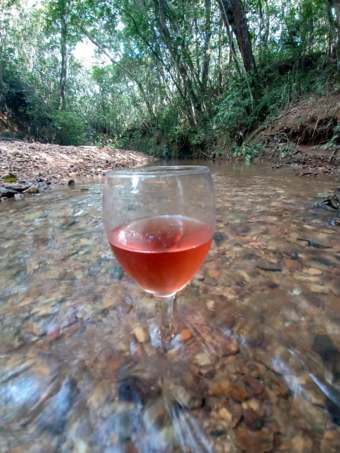 Chalé aconchegante, pertinho da cidade e conectada a natureza Brasília Exterior foto