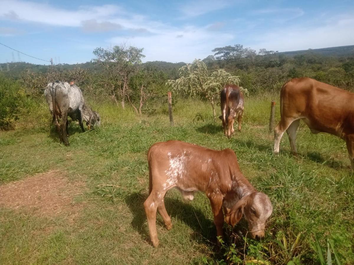 Chalé aconchegante, pertinho da cidade e conectada a natureza Brasília Exterior foto